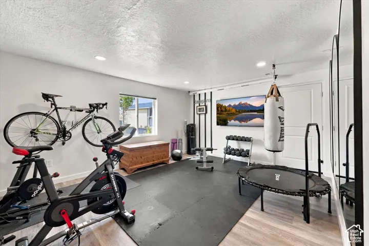 1373 S Raintree Ln, Santaquin, Utah 84655