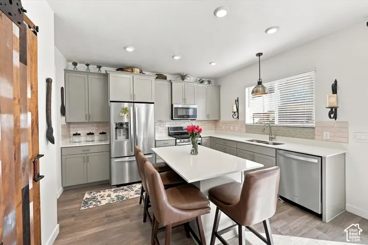 1373 S Raintree Ln, Santaquin, Utah 84655