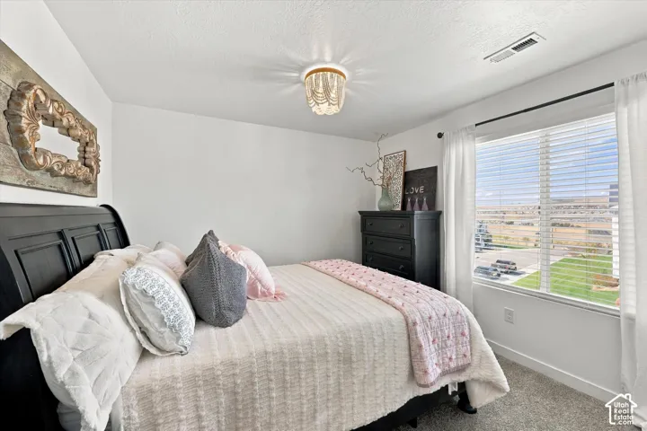 1373 S Raintree Ln, Santaquin, Utah 84655