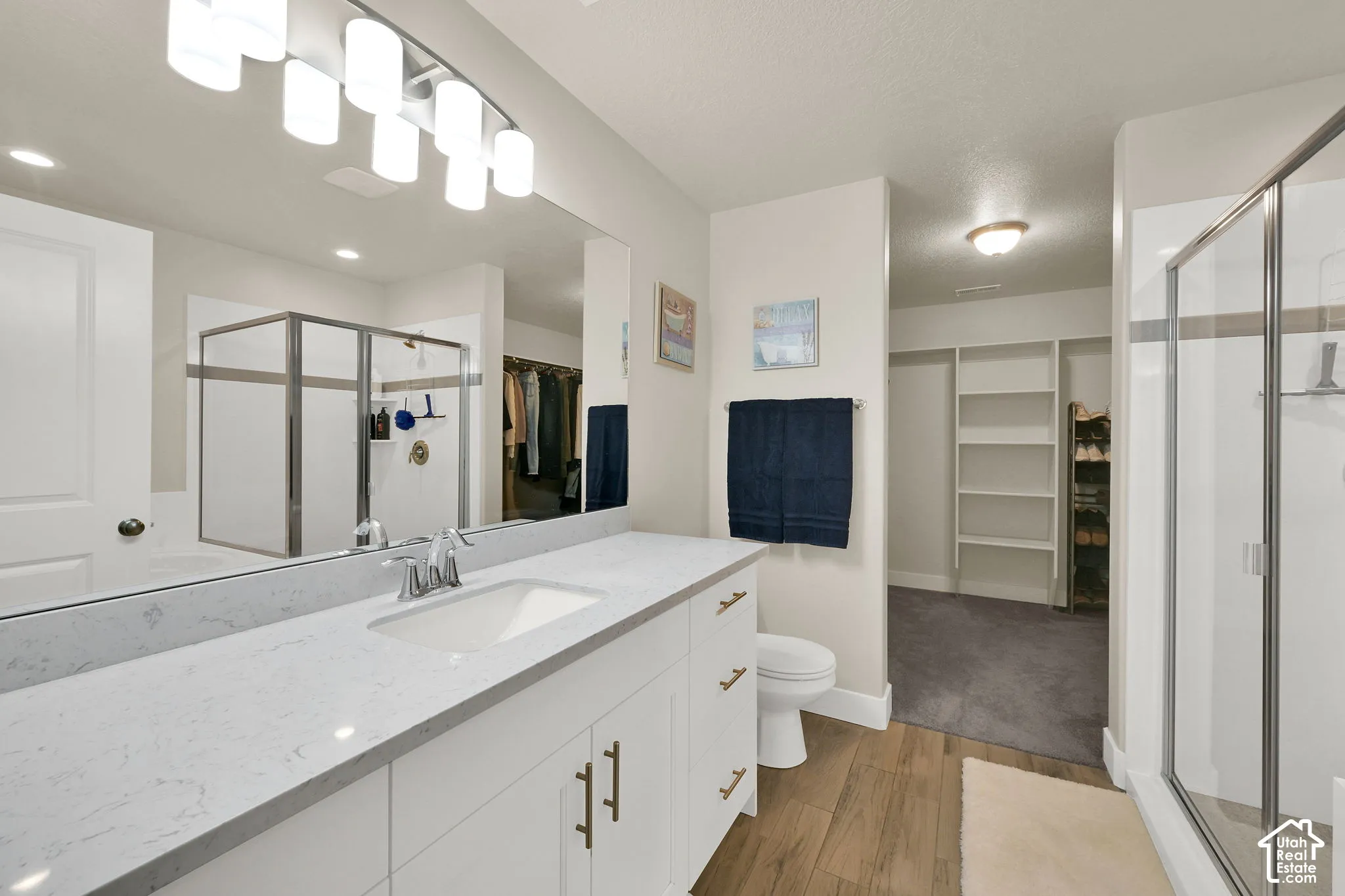 Spacious bathroom featuring a double vanity with stone-finish countertops, wood-finish flooring, a glass-enclosed shower, and an open closet area with built-in shelving