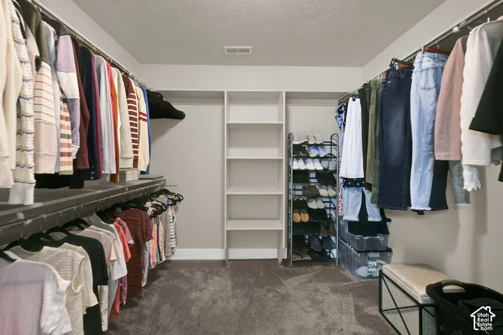Spacious walk-in closet featuring multiple clothing rods, built-in shelving, and carpet flooring