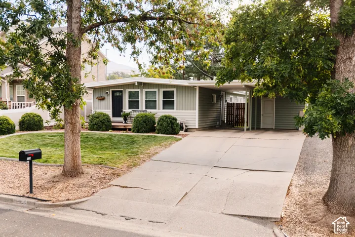 Light green siding exterior with a covered carport, front yard landscaping, and a concrete driveway