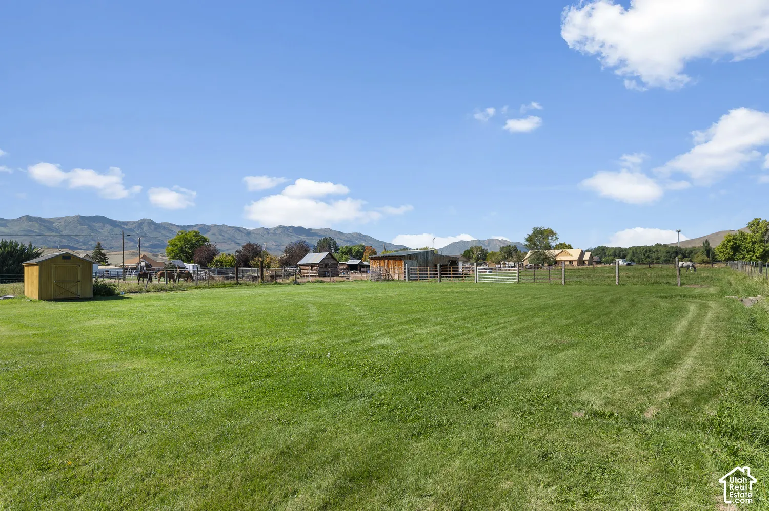 Expansive green field with mountain backdrop, shed, and distant outbuildings