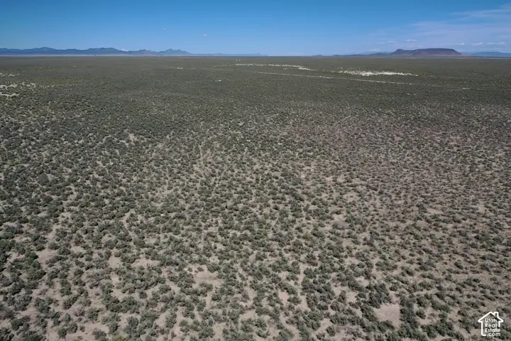 Expansive open land featuring natural desert vegetation