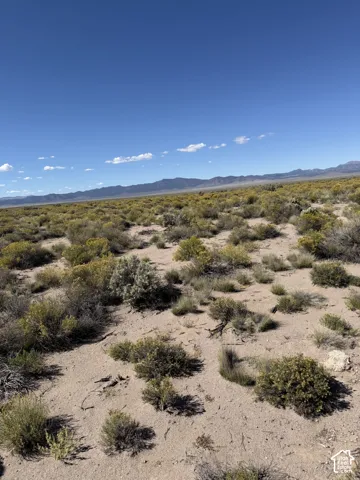 Expansive desert terrain featuring natural vegetation and distant mountain ranges under a clear sky
