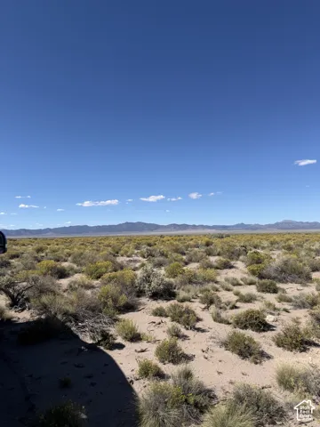 Expansive desert landscape with natural vegetation and distant mountain ranges under a clear sky