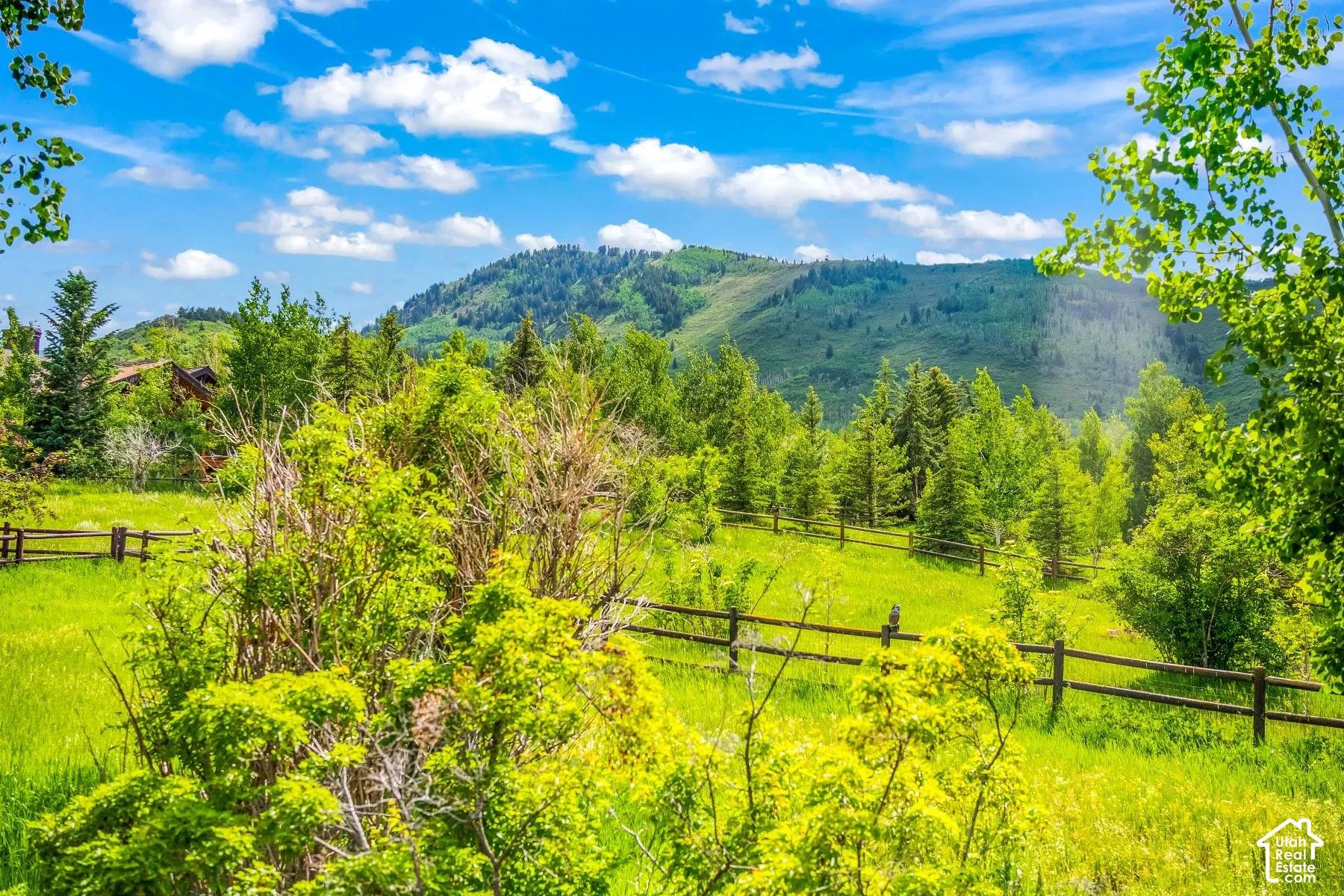 Expansive green landscape with a partial wood fence, surrounded by mature trees and distant mountains