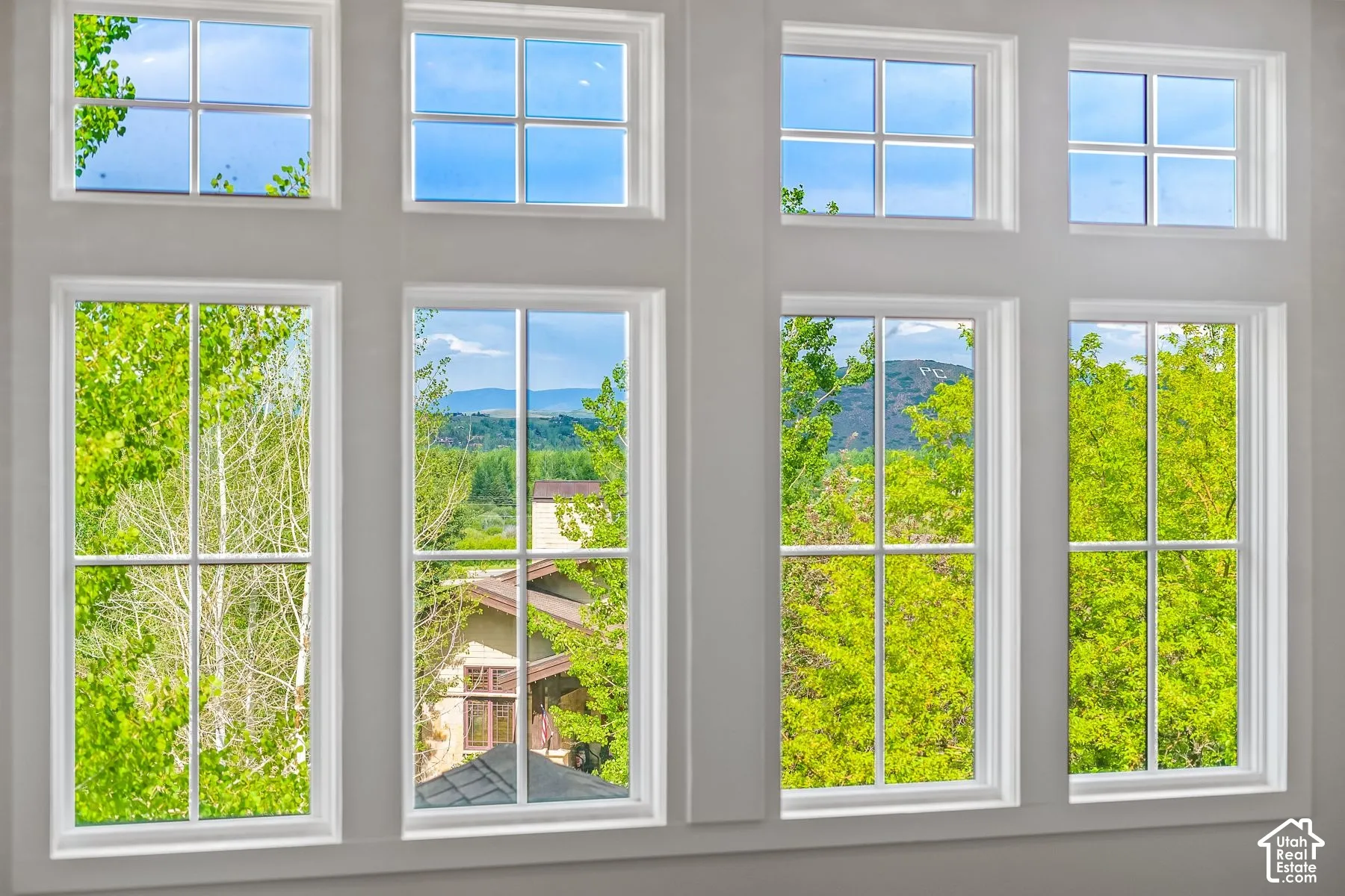 Expansive window arrangement with multiple panes, white trim, and a serene green landscape