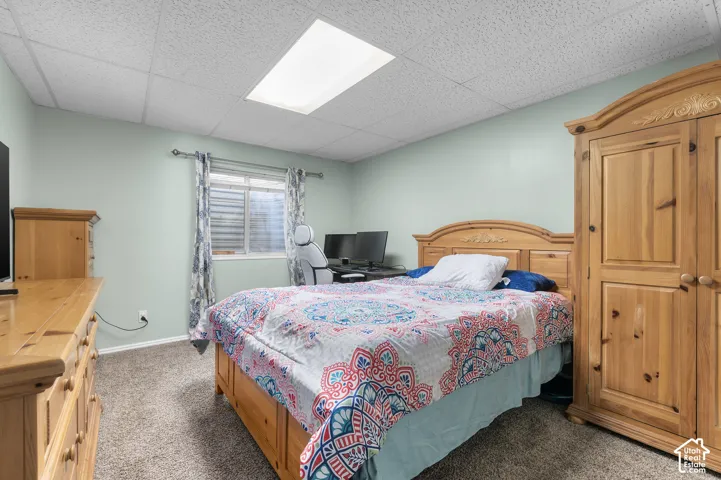 Carpeted flooring with light-colored walls and a drop ceiling featuring an overhead light fixture