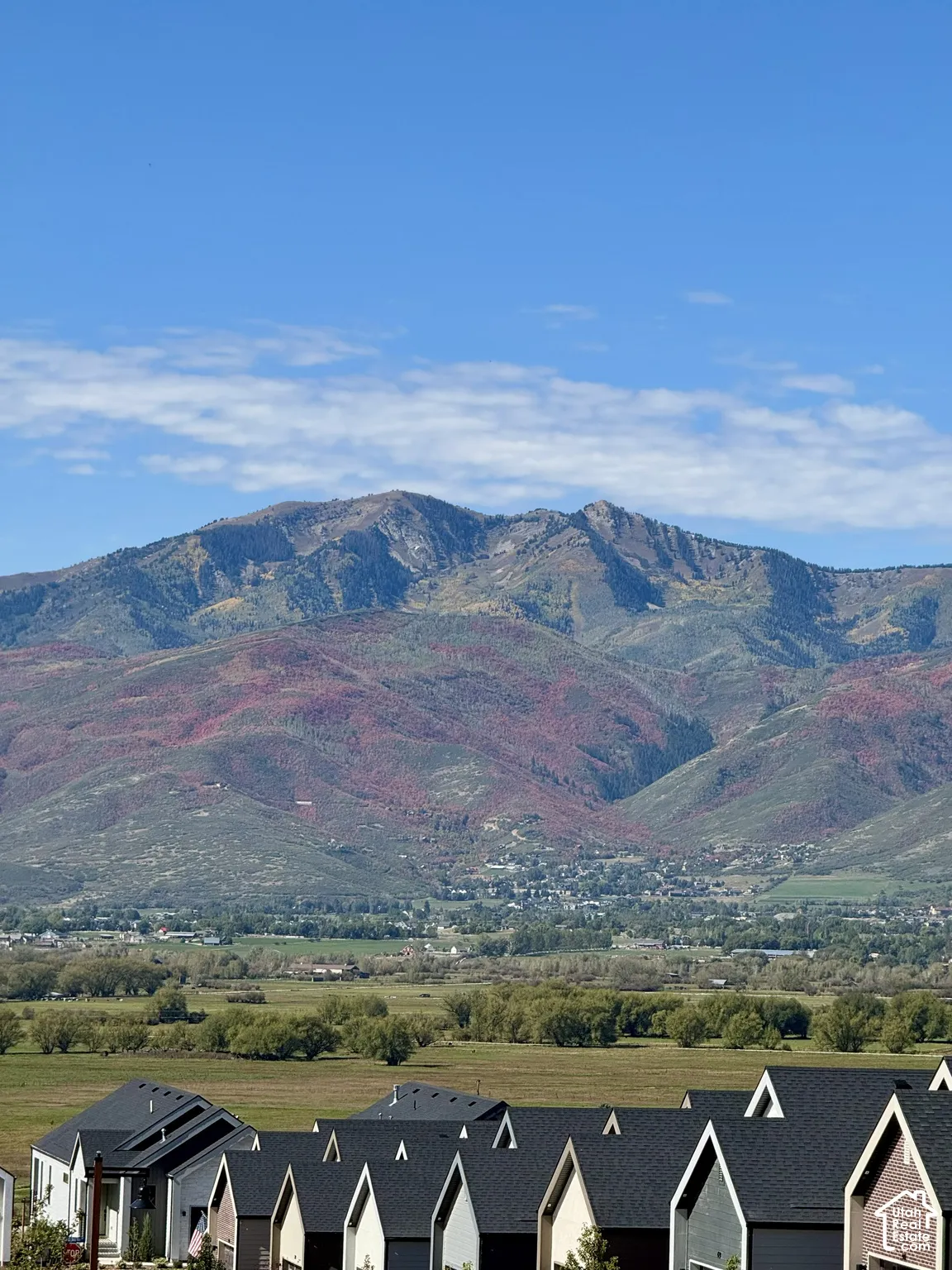 Expansive mountainous backdrop featuring diverse foliage and a clear blue sky
