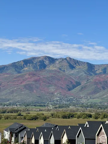 Expansive mountainous backdrop featuring diverse foliage and a clear blue sky
