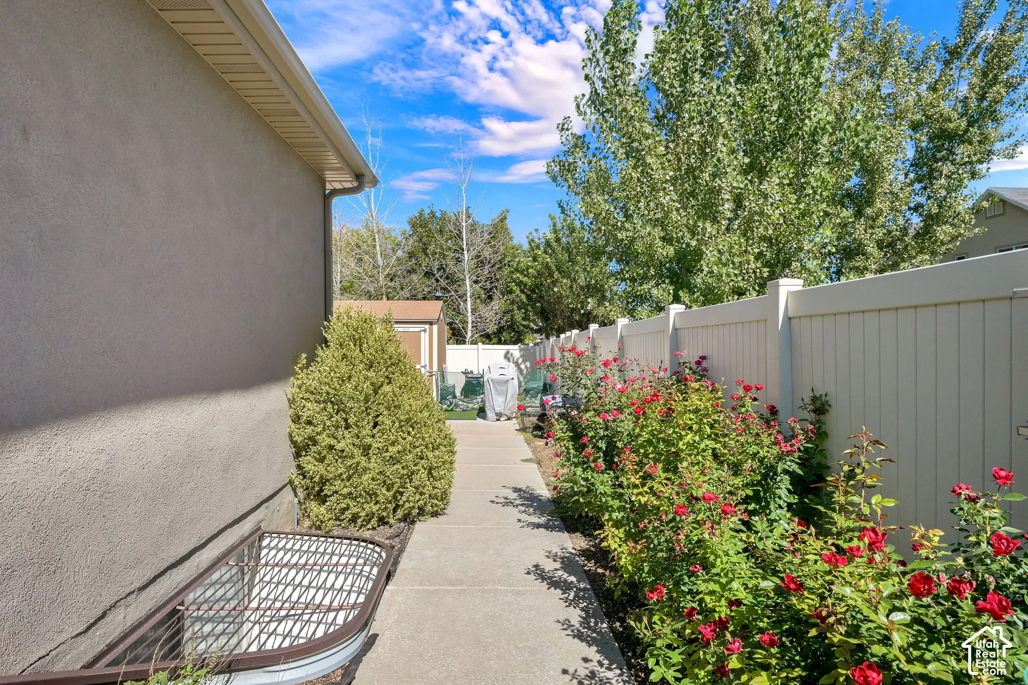 Stucco exterior with a concrete walkway, mature shrubs, vibrant red rose bushes, and a privacy fence