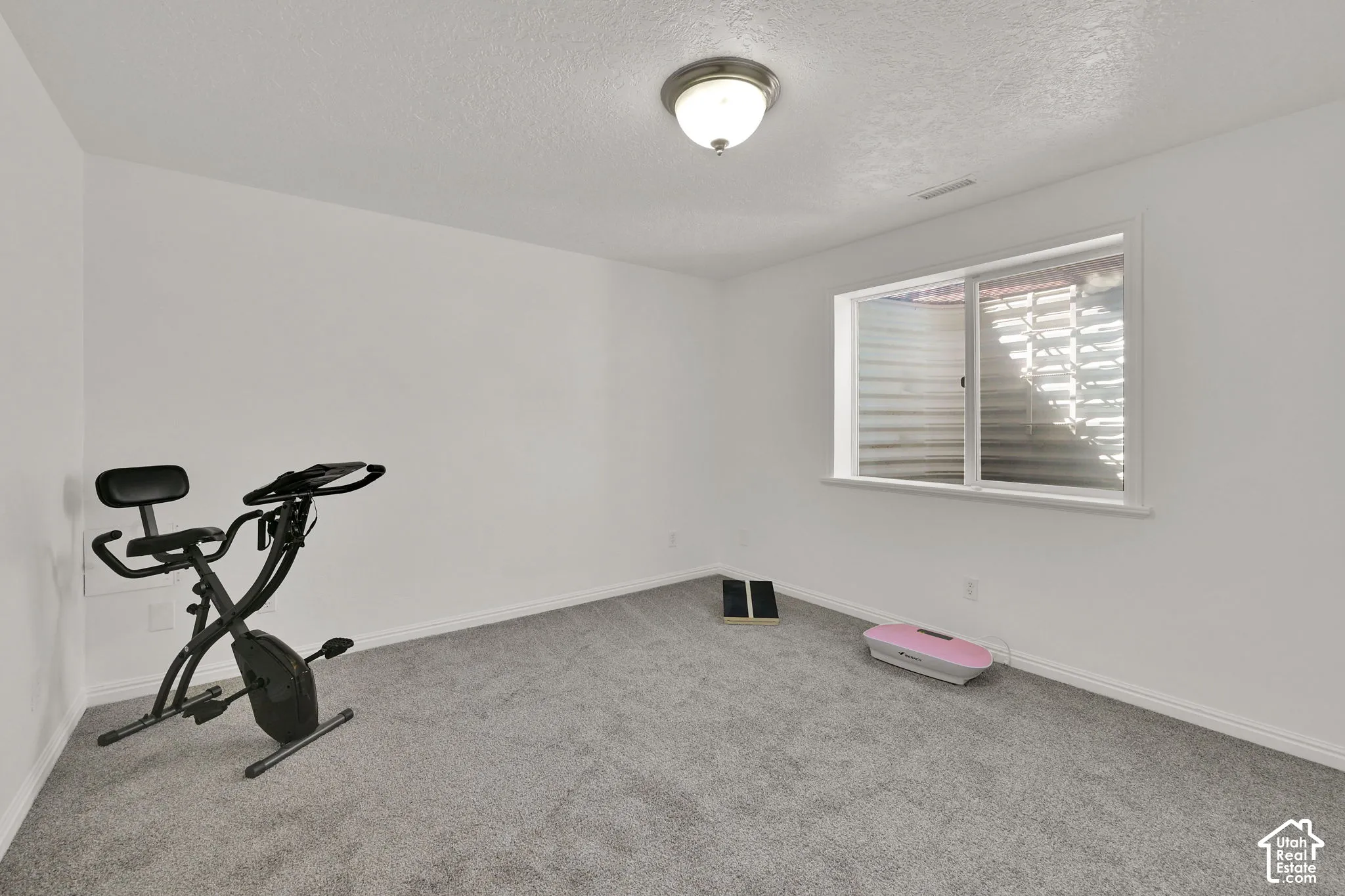 Carpeted flooring, white painted walls, single window with a corrugated metal window well, and an overhead flush-mount light fixture