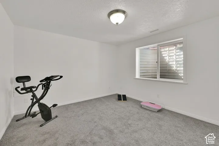 Carpeted flooring, white painted walls, single window with a corrugated metal window well, and an overhead flush-mount light fixture