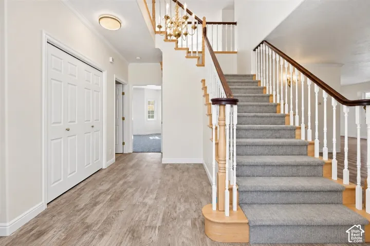 Wood-finish flooring, staircase with carpeted treads, wood banister with white balusters, and a decorative chandelier