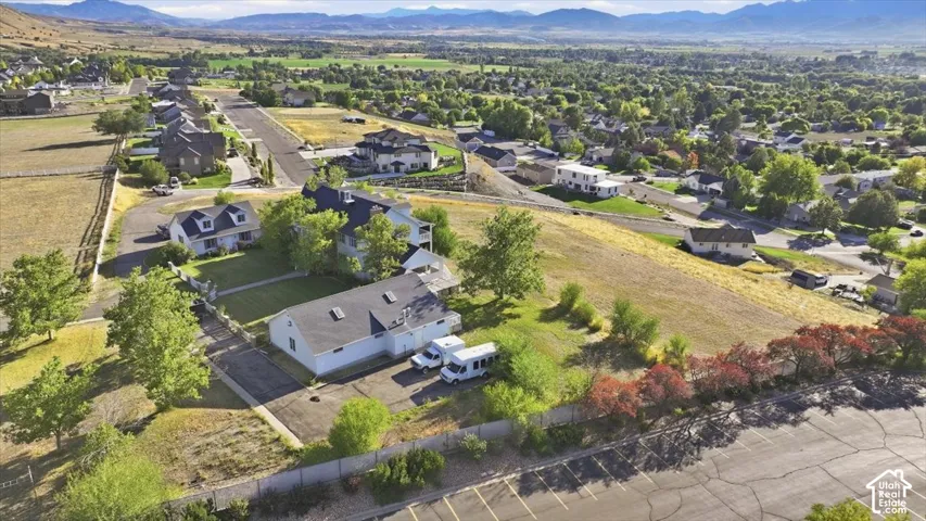 Expansive lot with mature trees, paved drive, and surrounding greenery