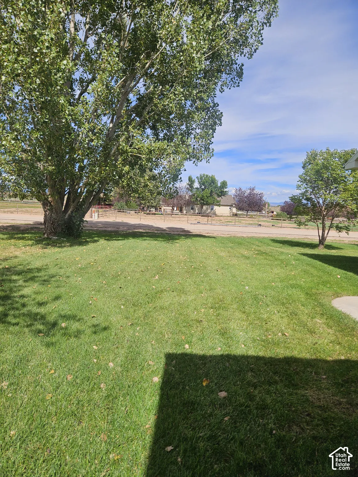 Expansive green lawn with mature shade trees