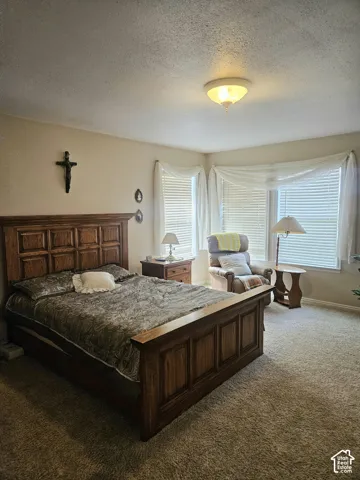 Wall-to-wall carpeting and a ceiling-mounted light fixture