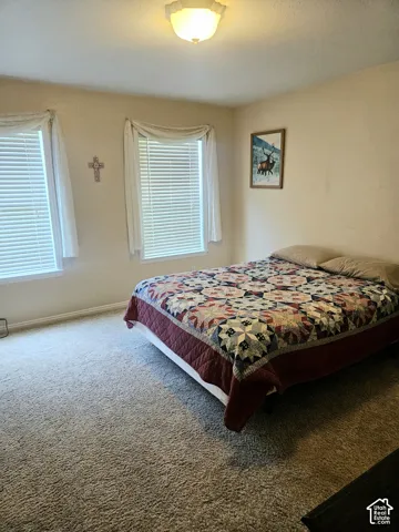 Plush carpeting, dual windows with blinds, and a ceiling-mounted light fixture
