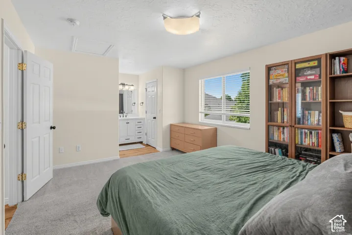 Carpeted room with a window, white interior doors, and a ceiling-mounted light fixture