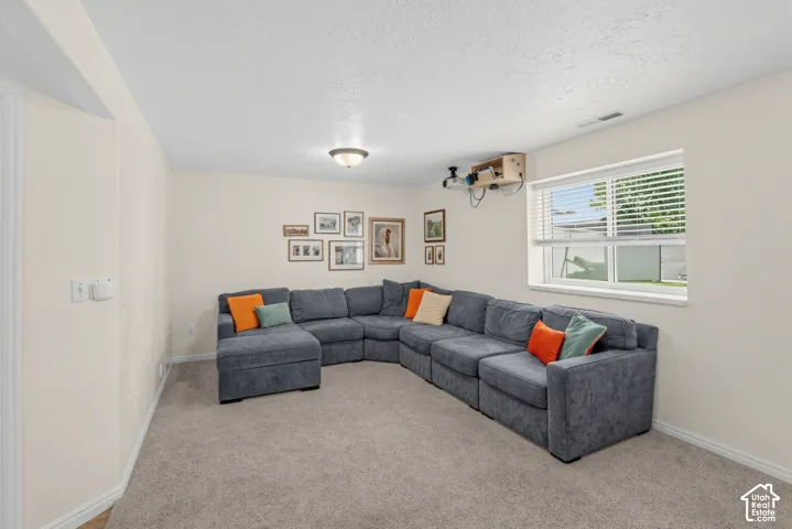 Wall-to-wall carpeting with light-toned walls and a single window