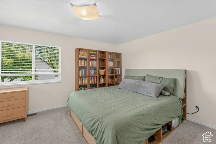 Recessed lighting fixture, light-toned walls, and soft carpet flooring