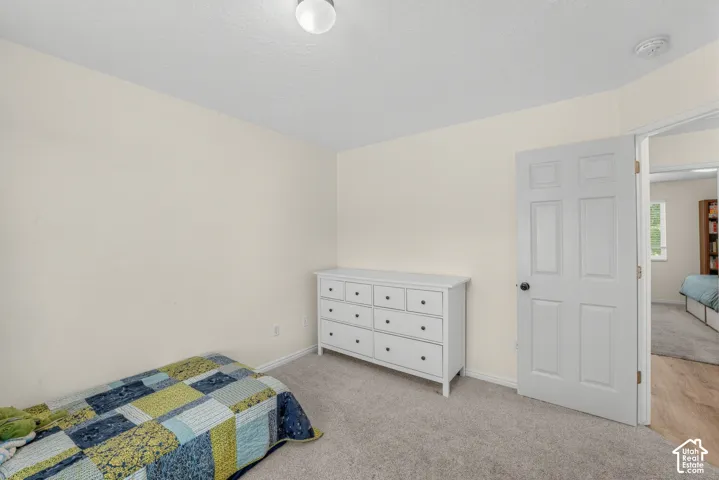 Neutral-toned walls complement the light gray carpeting