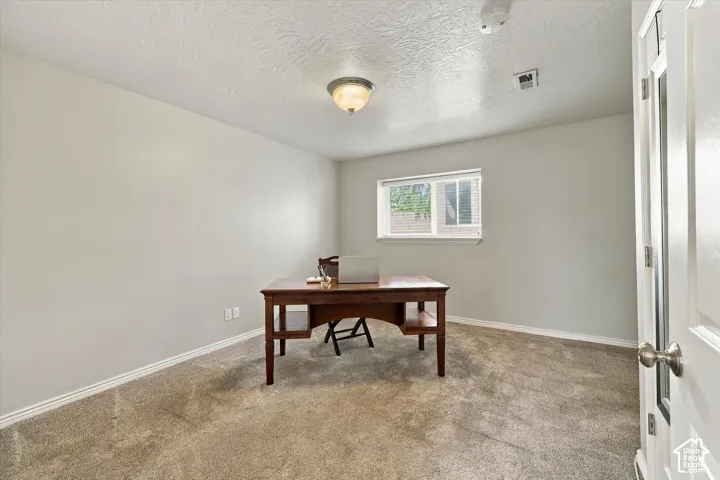 Neutral wall paint, textured ceiling, carpeted flooring, window with blinds, and flush-mount ceiling light fixture
