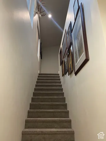 Carpeted staircase with light-toned walls and overhead lighting