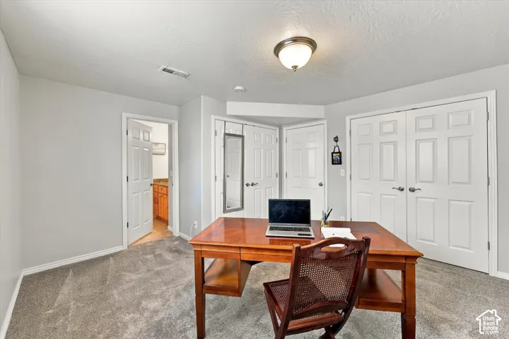 Neutral wall paint, textured ceiling, flush mount light fixture, carpet flooring, paneled interior doors