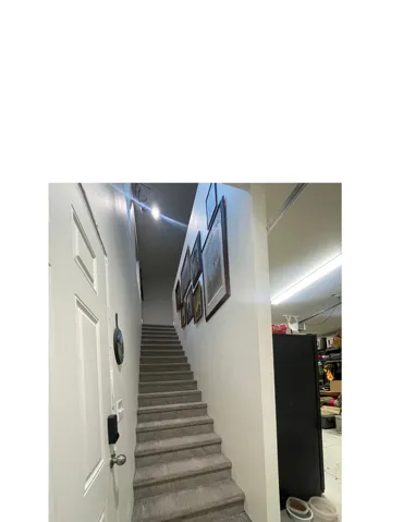 Carpeted staircase with white walls and a paneled door