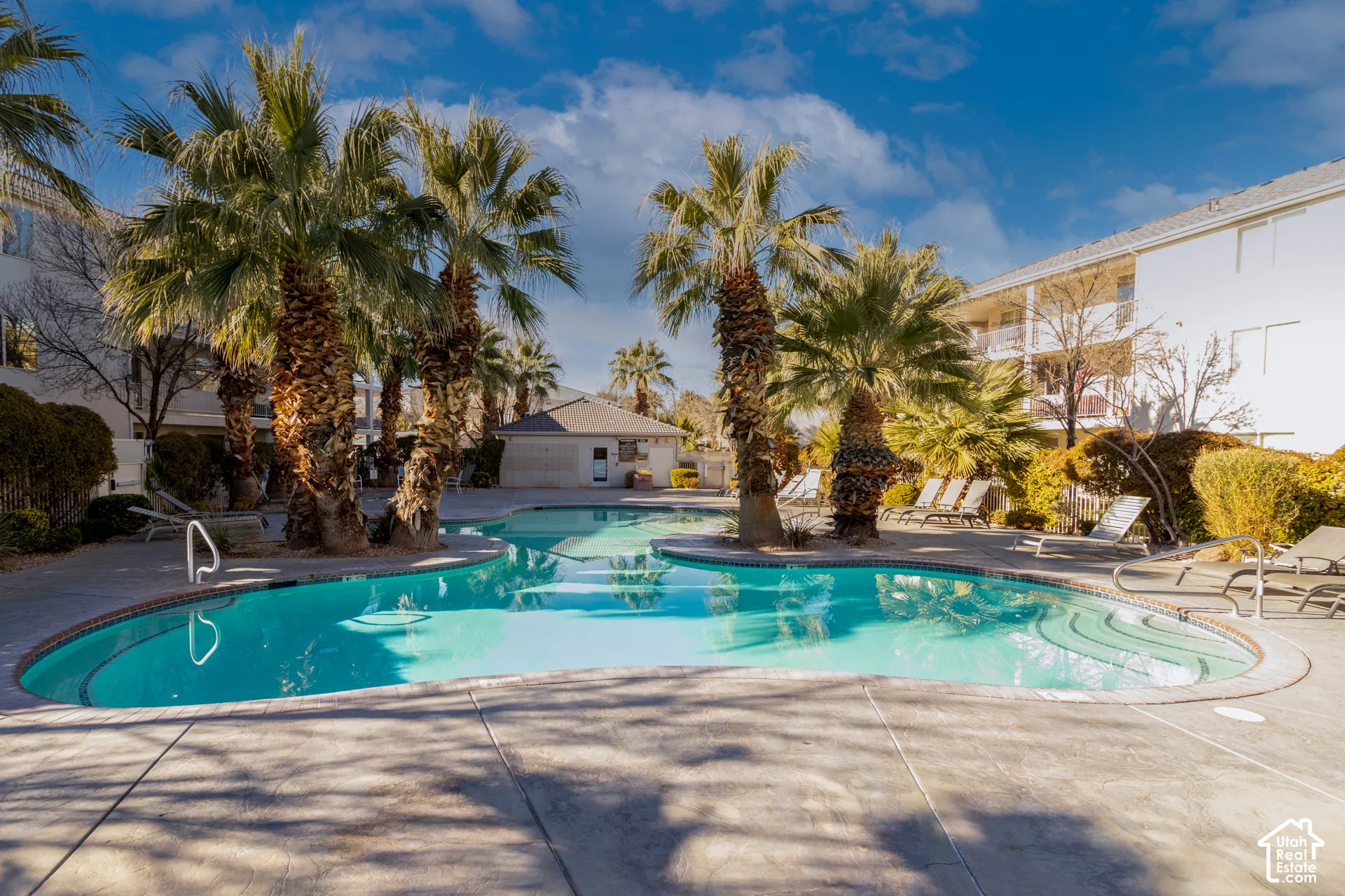 Resort-style pool with integrated steps, surrounding concrete deck, and mature palm trees