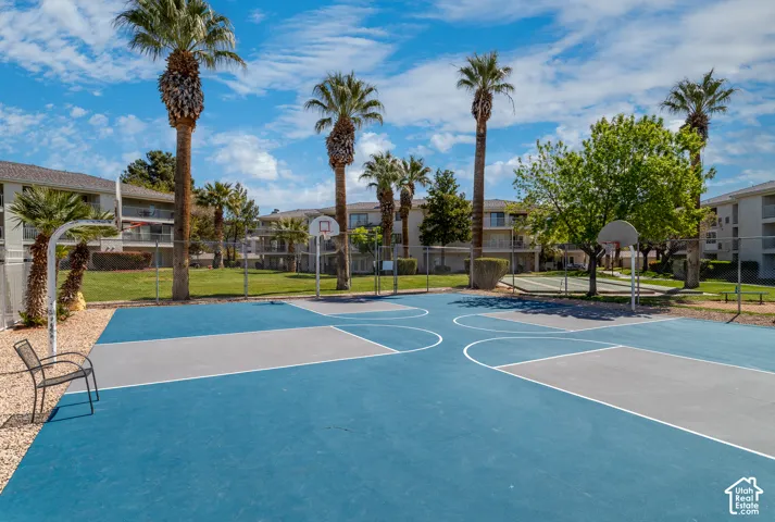 Basketball court