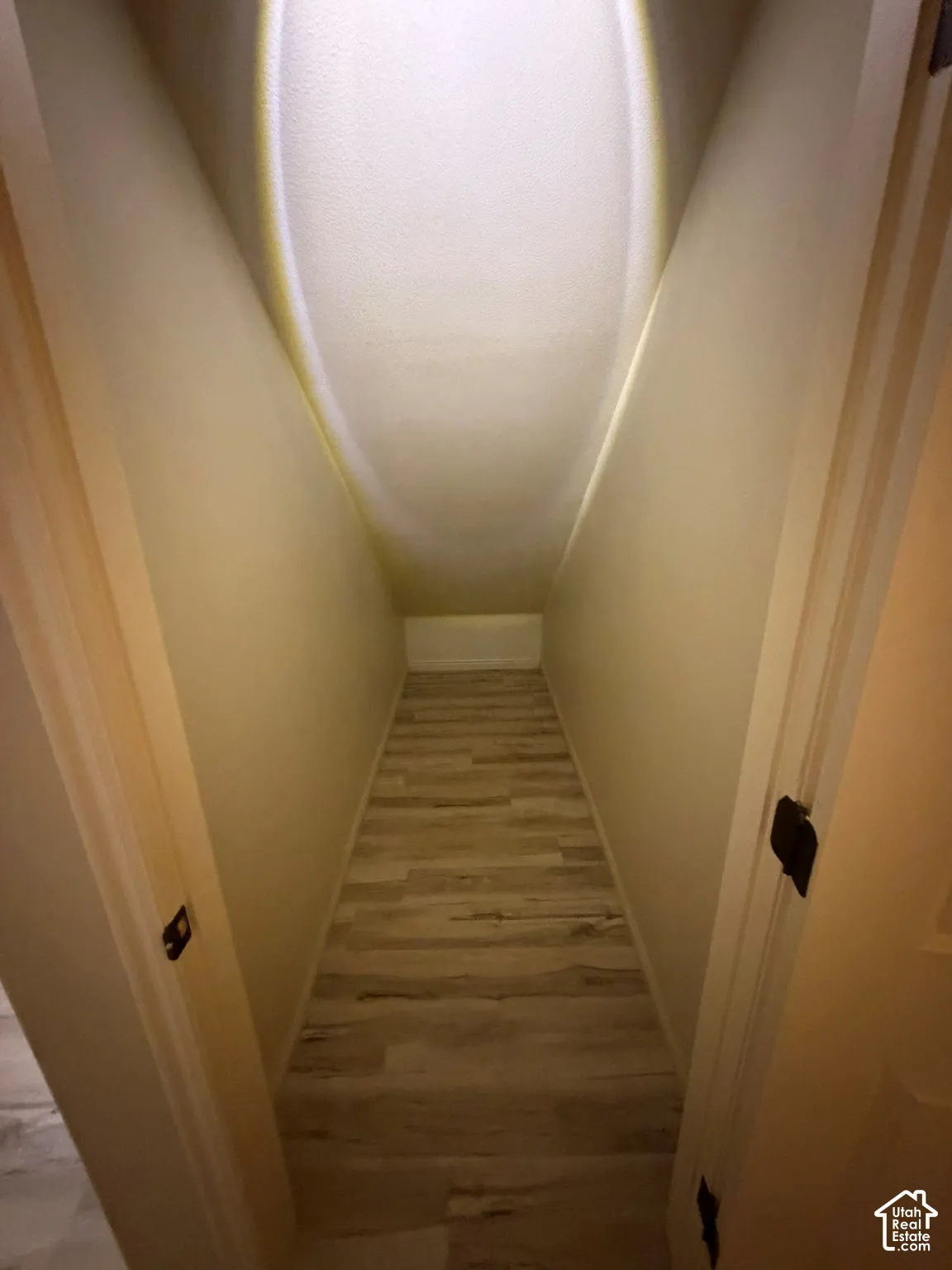 Recessed storage area with wood-finish flooring