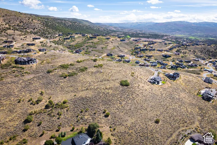 Expansive land offering a hillside setting with scattered brush and natural vegetation