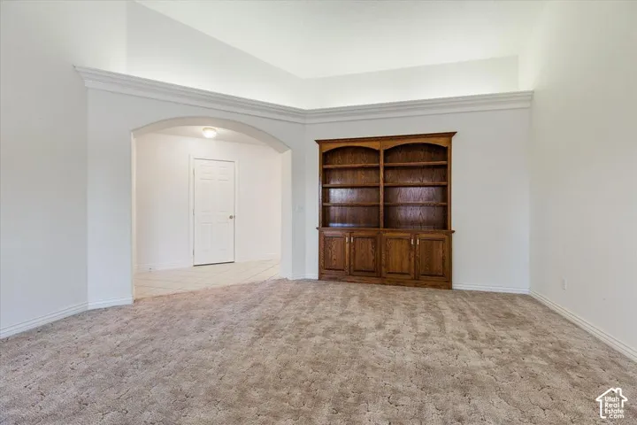 Tray ceiling, built-in wood cabinetry, built-in shelving, arched doorway, and carpeted flooring