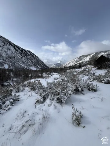 Snowy mountain terrain featuring natural vegetation