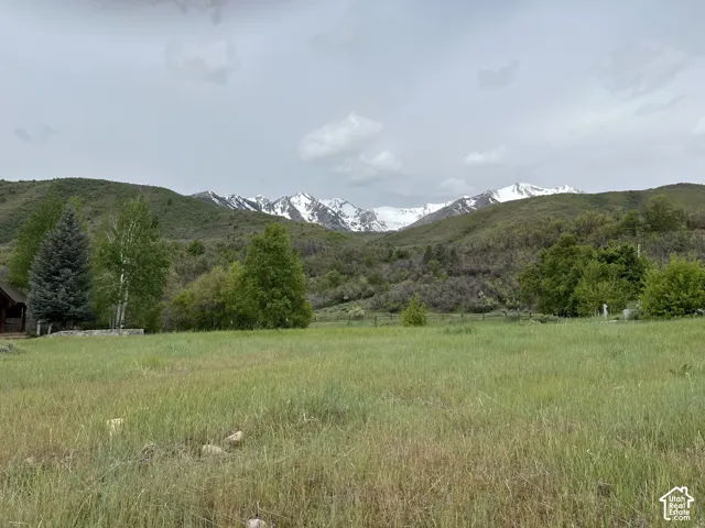 North-facing view towards Provo Peak in Spring