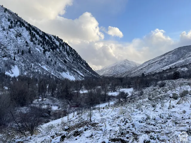 Snow covered meadow views to the West