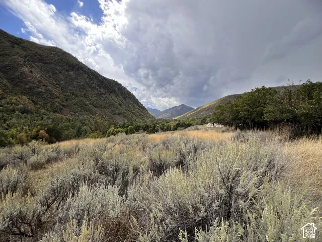 Expansive natural landscape with varied terrain