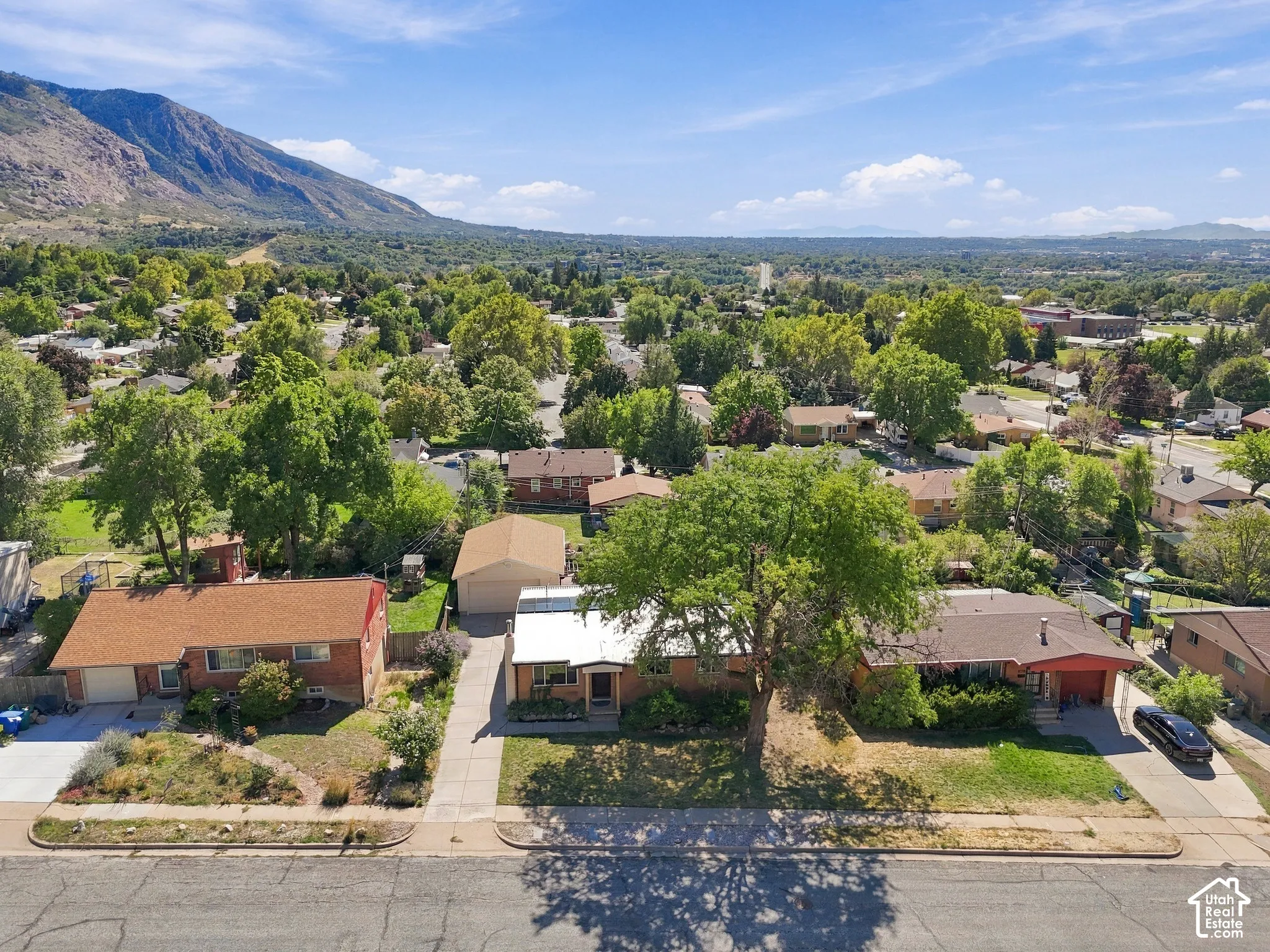 Residential street with mature trees and mountain backdrop