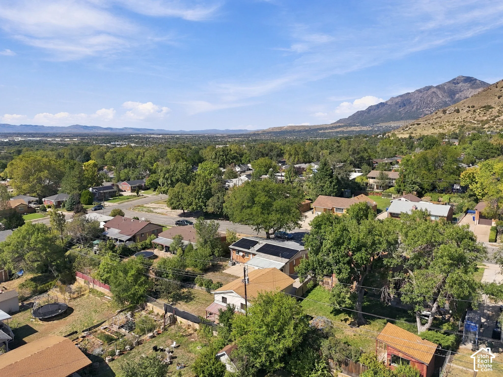 Expansive neighborhood setting with mature trees and mountain scenery