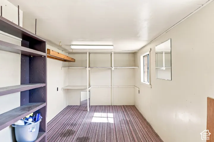 Multiple built-in shelving units, integrated fluorescent lighting, and a window for natural illumination