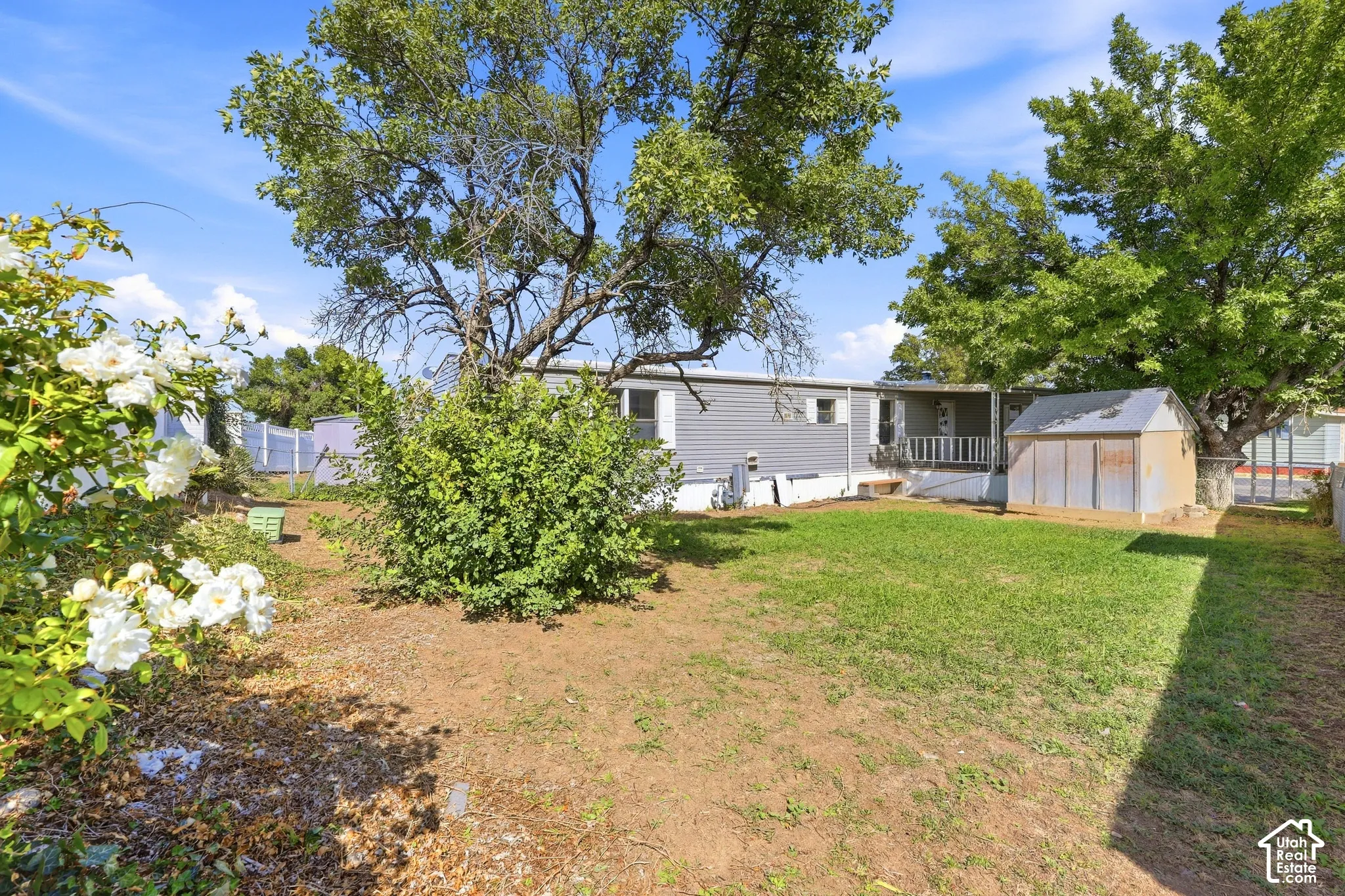 Expansive outdoor space featuring a lawn area, mature trees, and a storage shed