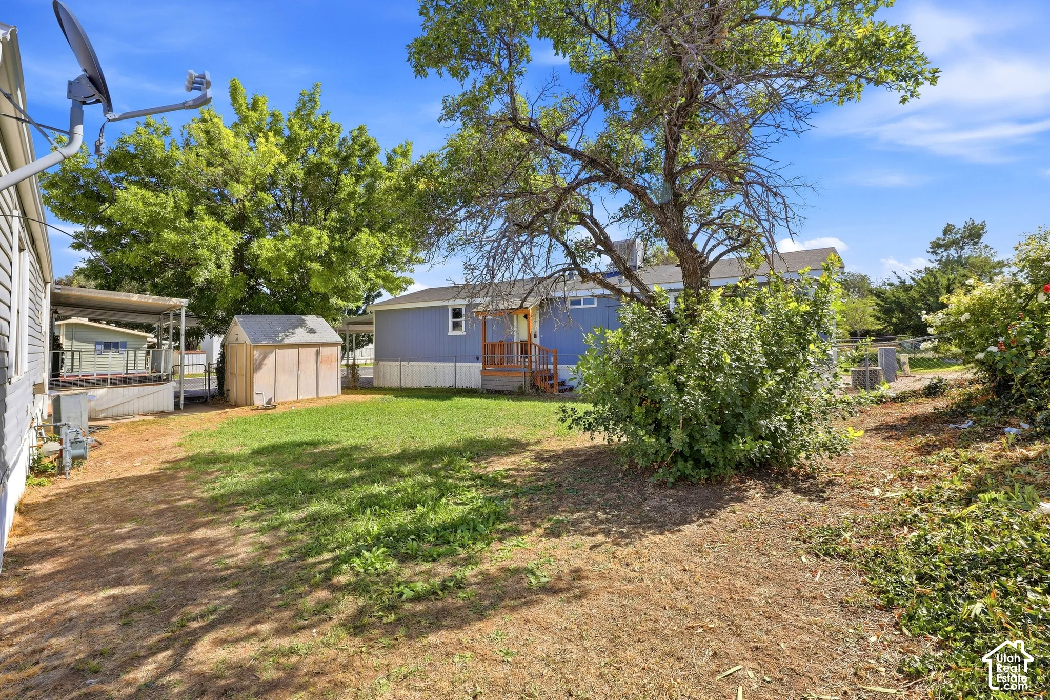Expansive outdoor space featuring a lawn, mature trees, and a storage shed
