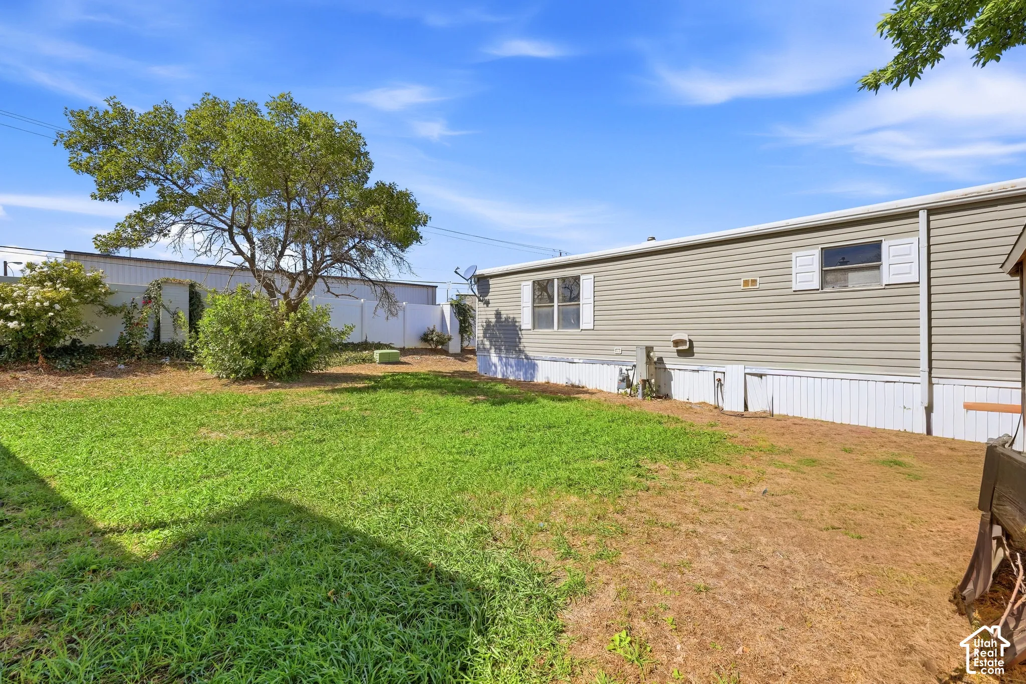 Expansive lawn area with a mature tree, bordered by a white privacy fence