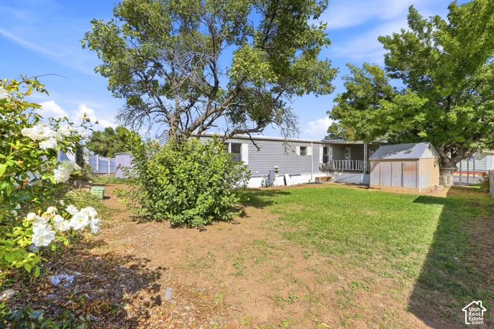 Expansive outdoor space featuring a lawn area, mature trees, and a storage shed