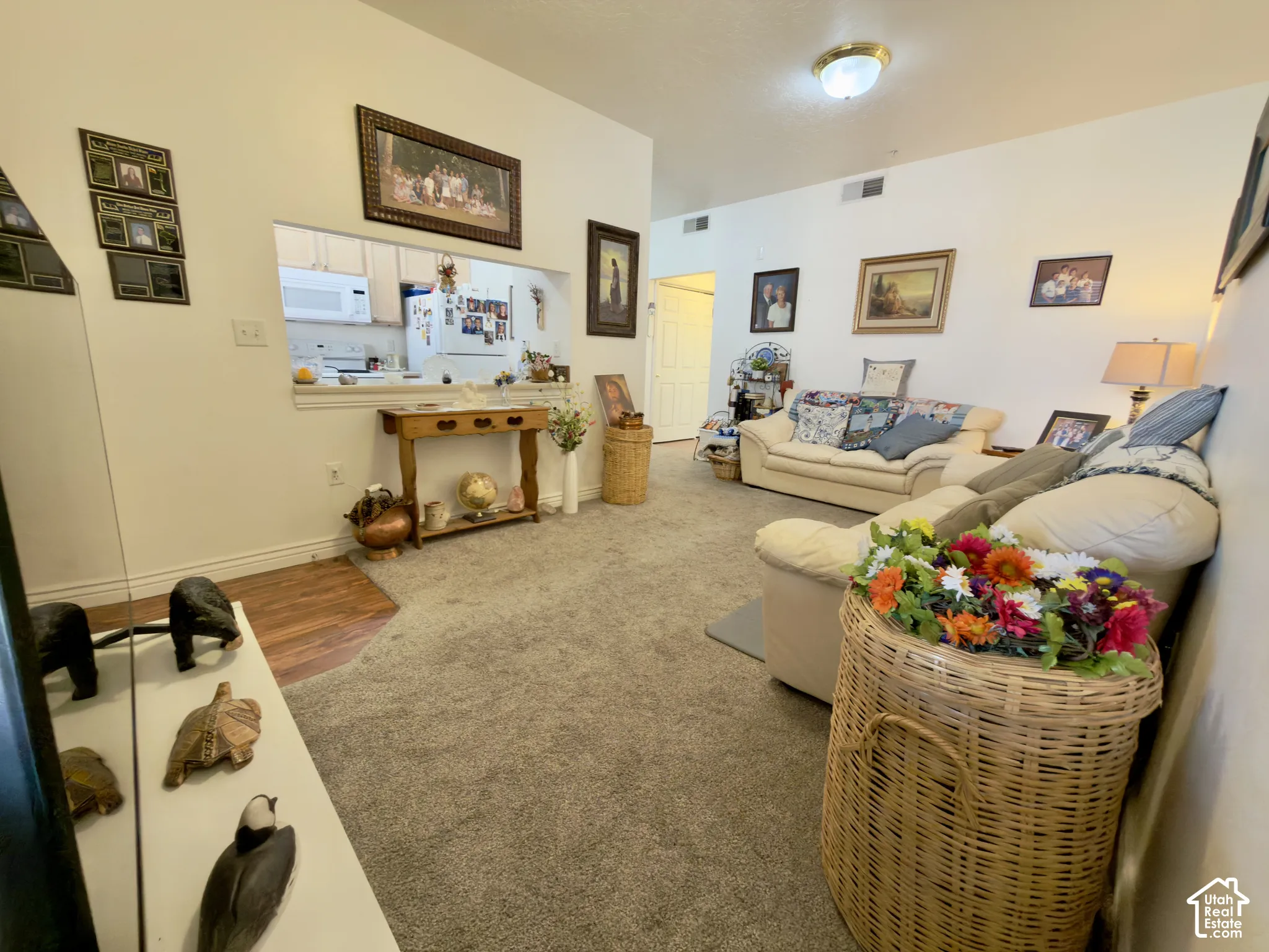 Good sized living room with kitchen pass-through