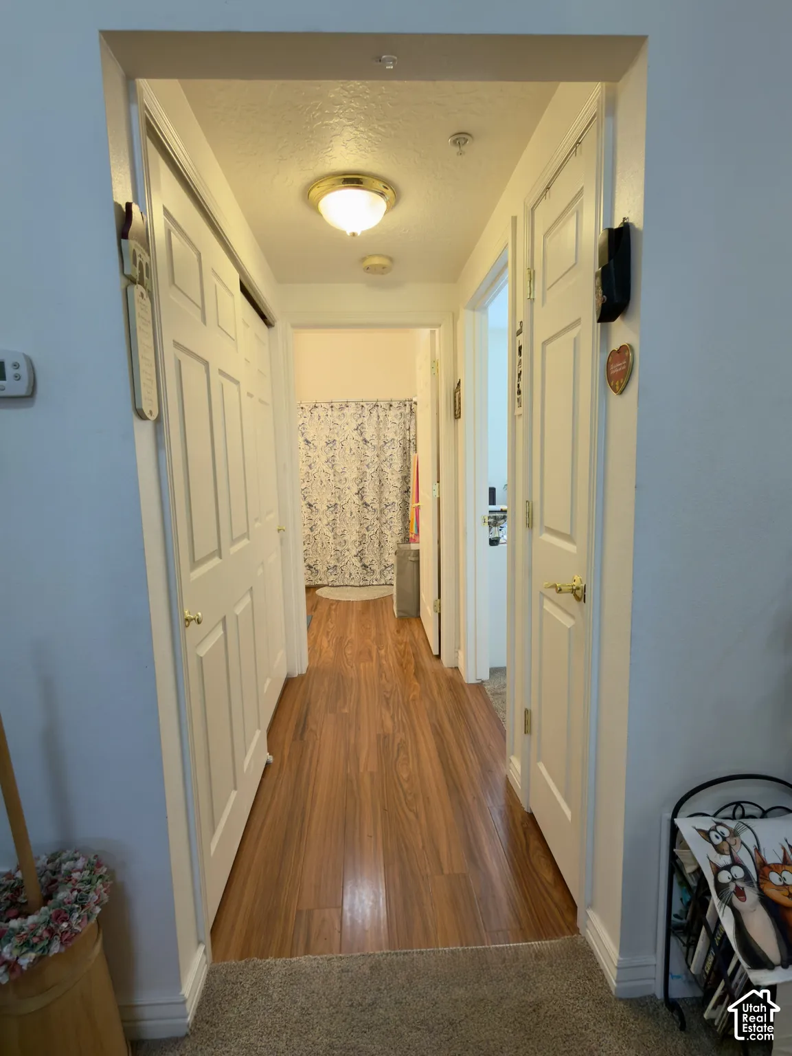 Hallway to utility closet, laundry, linen closet, bedroom & bathroom