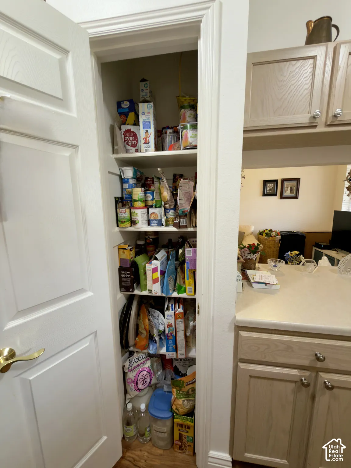 Built-in pantry with multiple shelves